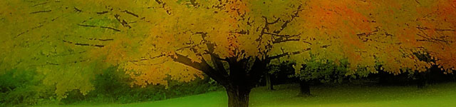 Autographes Rotating Header Image