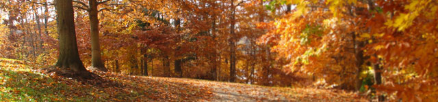 Autographes Rotating Header Image